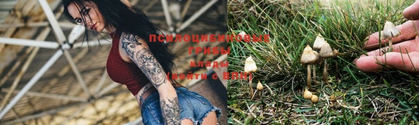 MDMA Белокуриха