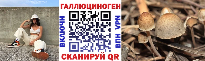 Псилоцибиновые грибы Magic Shrooms хочу Гусев