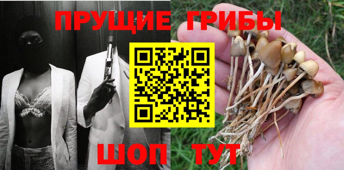 Галлюциногенные грибы прущие грибы Гусев