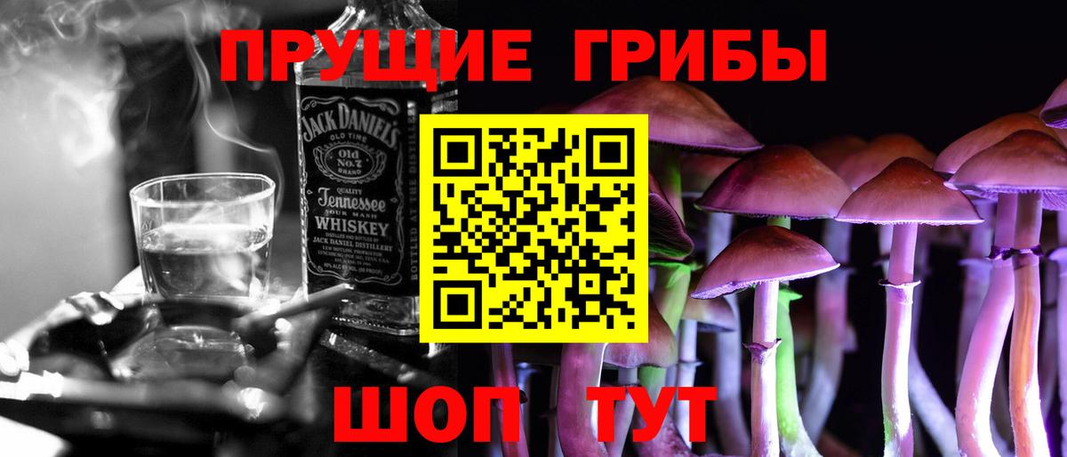 Псилоцибиновые грибы GOLDEN TEACHER  Вход с VPN  Гусев  Псилоцибиновые грибы ЛСД 